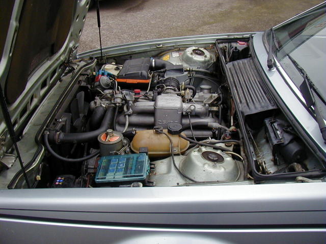 ann_0812131714367036599.JPG