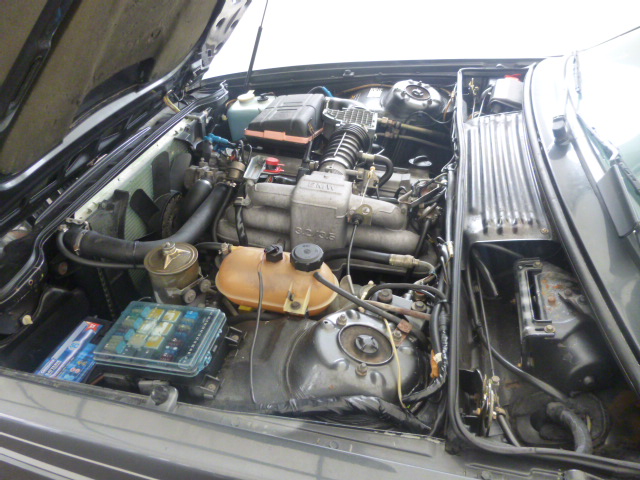 P1090208-1.JPG