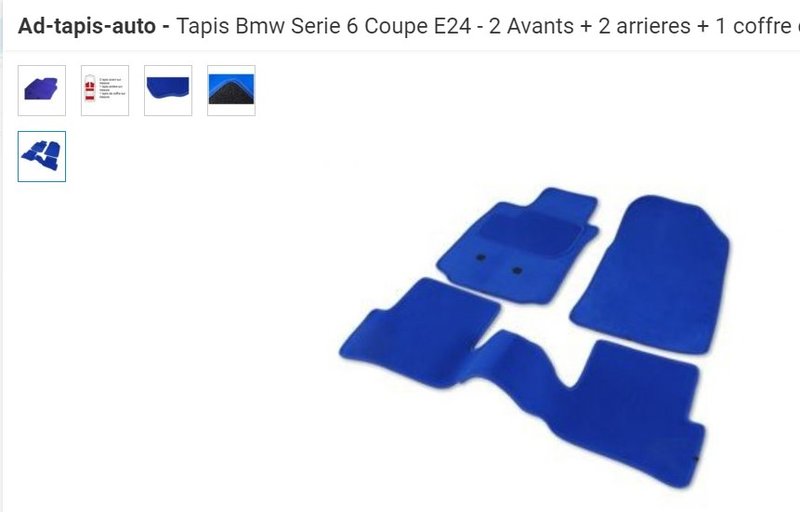 Thierry tapis.jpg