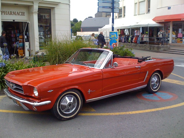 Mustang.jpg
