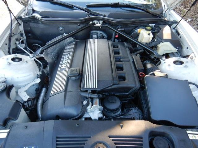 19509_124526664.jpg